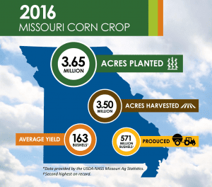 2016 Missouri Corn Crop 300x264 1