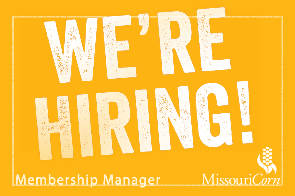 We're Hiring