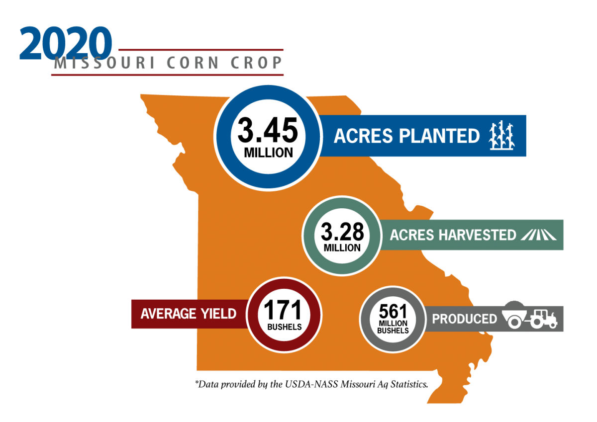 2020 Corn Crop Final